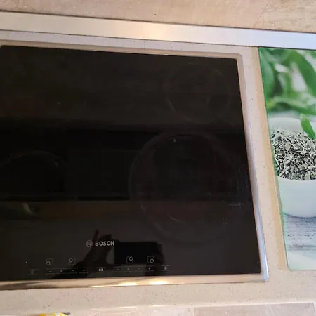 Red Penzion Temešvár