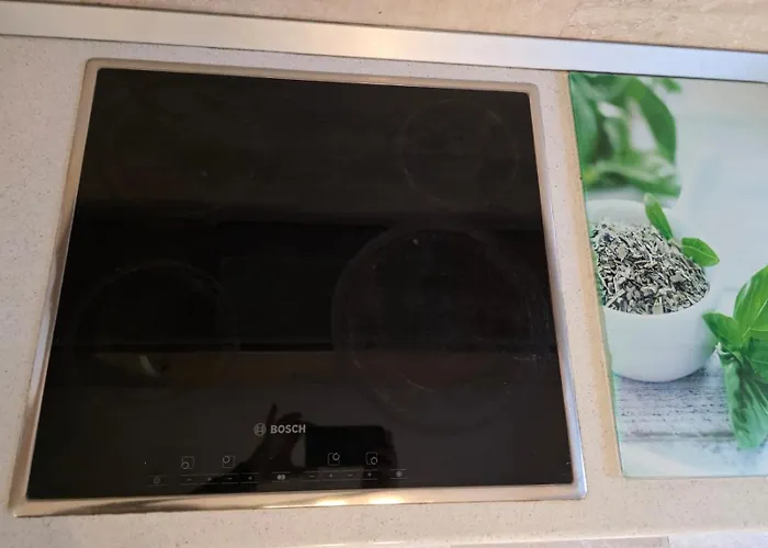 Red Penzion Temešvár